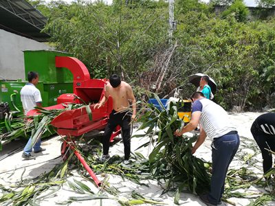 秸稈打包機客戶現場 (4)